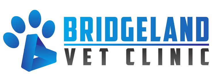 Bridgeland Vet Clinic